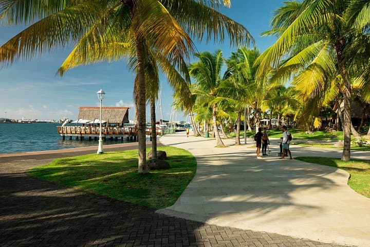 Papeete Express Stopover: Quick Downtown Walk, Market Visit & Luggage Storage in Tahiti photo 4