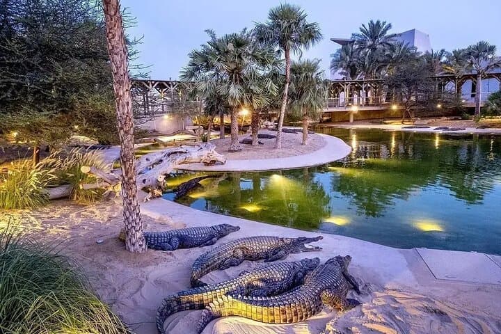 Dubai Crocodile Park: Up-Close Nile Crocodiles & Aquarium Experience