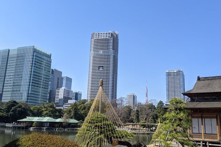 Hamarikyu Gardens Wellness Walk & Tsukiji Lunch — Forest Bathing in Tokyo