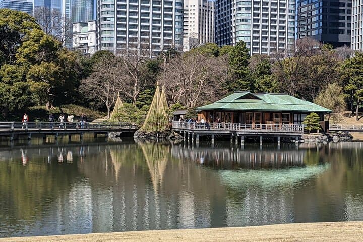 Hamarikyu Gardens Wellness Walk & Tsukiji Lunch — Forest Bathing in Tokyo photo 6