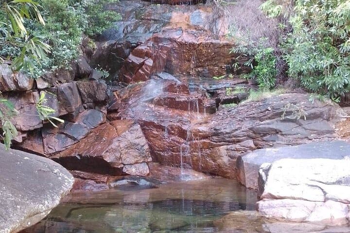 Early-Season Kakadu Waterfall Day Tour from Darwin — Swim Hidden Pools in April–May