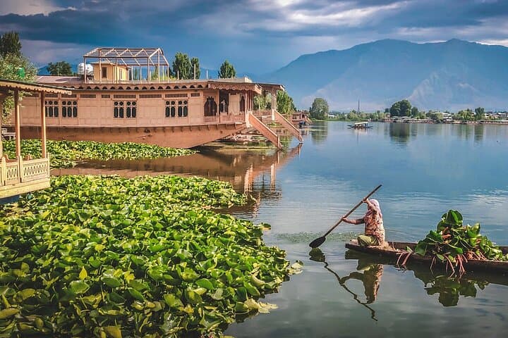 Kashmir in 4 Days: Private Srinagar, Gulmarg & Pahalgam Escape photo 3