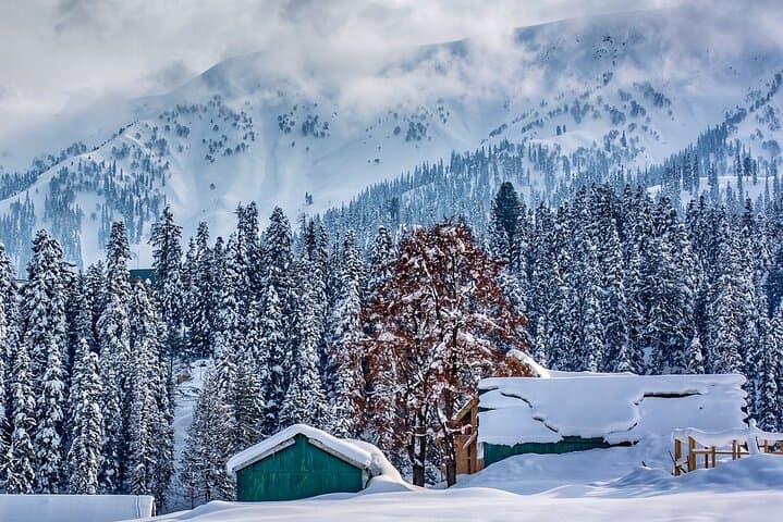 Kashmir in 4 Days: Private Srinagar, Gulmarg & Pahalgam Escape photo 4