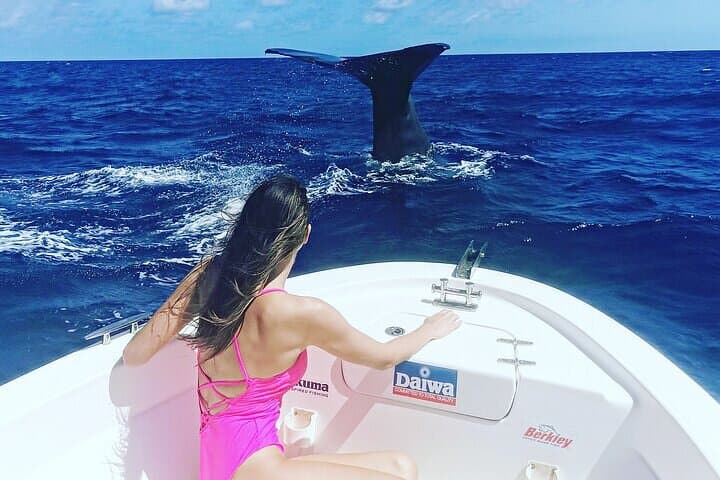 Ethical Dolphin & Whale Watching in Mauritius — Private Early-Morning Boat Tour photo 6