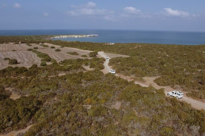 Akamas Surf and Turf: Full-Day Jeep and Boat Adventure from Paphos photo 2