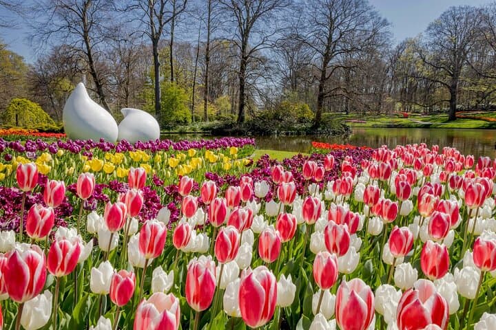 Keukenhof Shuttle from Amsterdam: Fast-Track Entry & Flexible Return photo 5