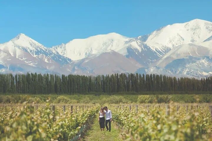 Private 5-Day Luxury Mendoza: Andes Excursion, Premium Wineries & Thermal Spa photo 6