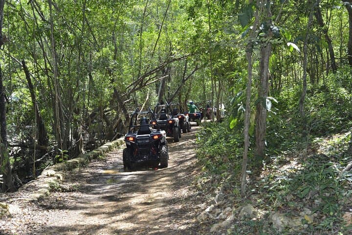 Montego Bay ATV, Zipline & Catamaran Adventure — Jungle-to-Sea Full-Day Experience