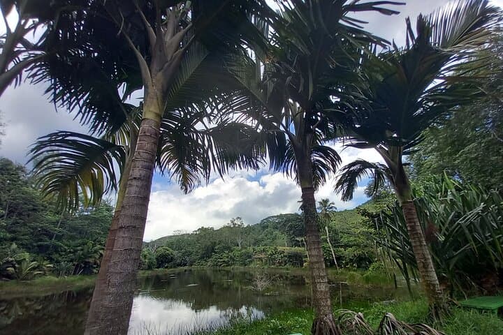 Mahe Island Private Adventure Tour — Beaches, Markets & Distillery photo 4