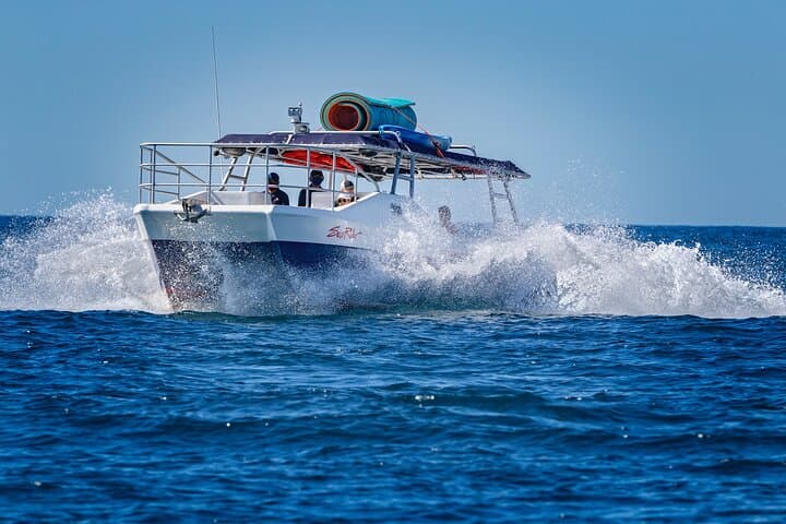Cabo San Lucas Arch Catamaran: Bay Trip to El Arco, Sea Lions & Whales photo 2