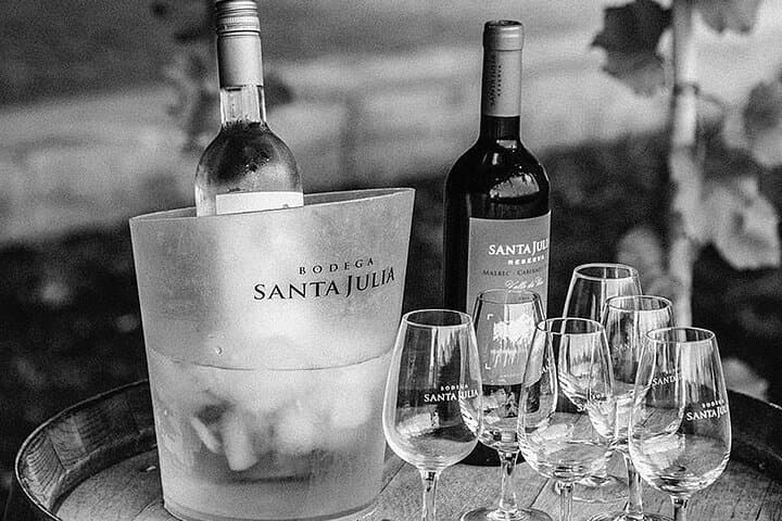 Vineyard Pedal & Tasting at Bodega Santa Julia: Bike, Lunch, and Mendoza Wines photo 2