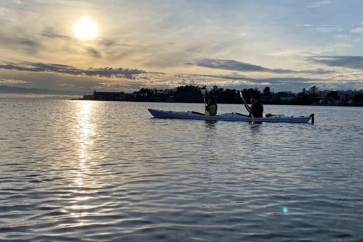 Victoria Harbour Sunset Kayak Tour — Evening Paddle in the Inner Harbour photo 2