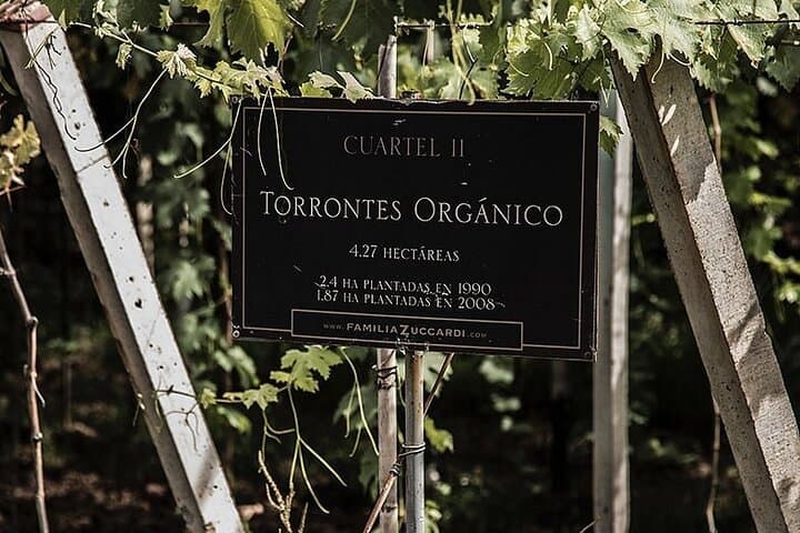 Vineyard Pedal & Tasting at Bodega Santa Julia: Bike, Lunch, and Mendoza Wines photo 3
