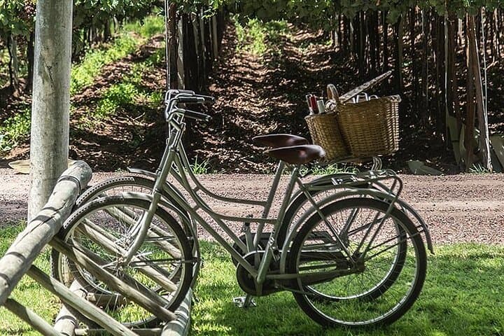 Vineyard Pedal & Tasting at Bodega Santa Julia: Bike, Lunch, and Mendoza Wines