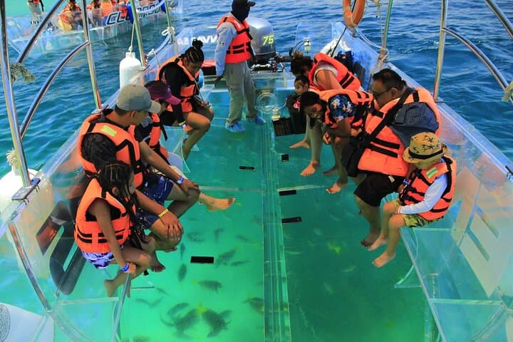 Cabo Encounter: Clear Boat Cruise, Glass-Blowing & San José del Cabo Lunch photo 5