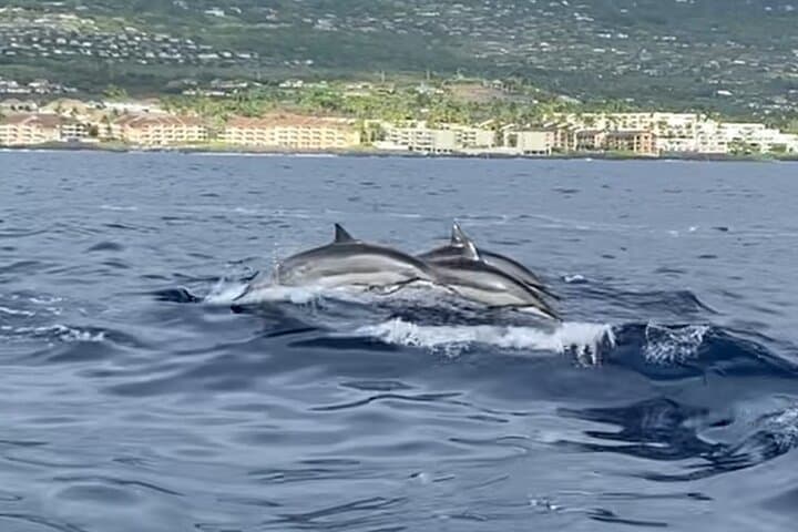 Experience a Private Sunset Cruise Along Kona’s Coastline photo 6