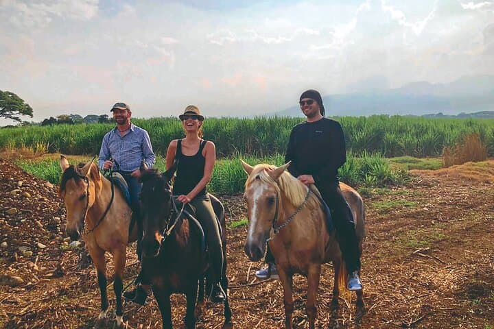 Horseback Riding Near Cali: Cloud-Forest Trails & Sugarcane Gallops photo 2