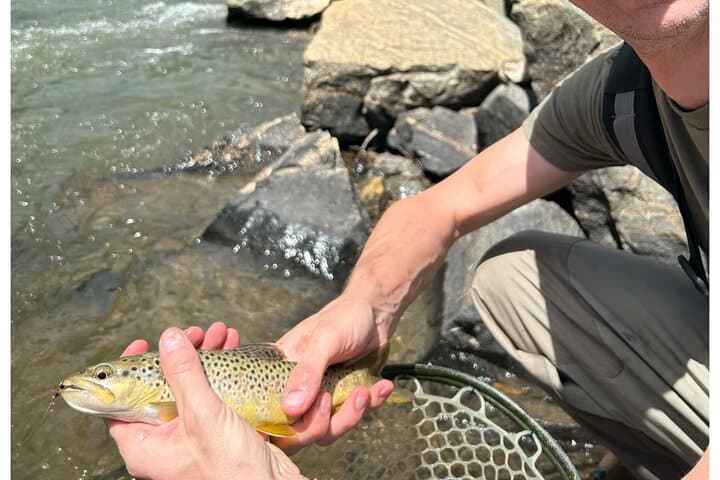 Half-Day Fly Fishing Lesson on Clear Creek: Learn to Catch Trout Near Denver photo 5