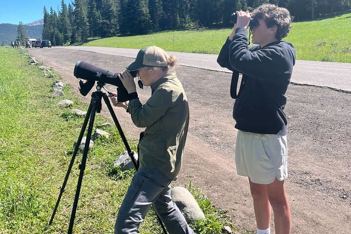 Exploring Yellowstone’s Wildlife: A Full-Day Safari through Lamar Valley