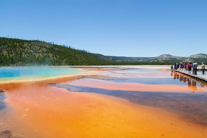Yellowstone Full-Day Safari from Cody: Old Faithful, Grand Canyon & Wildlife Highlights