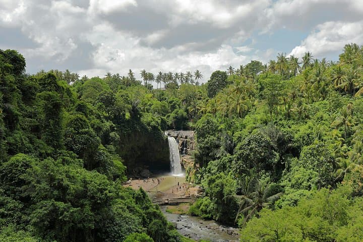 Classic Volkswagen Safari to Ubud: Waterfalls, Rice Terraces & Monkey Forest photo 2