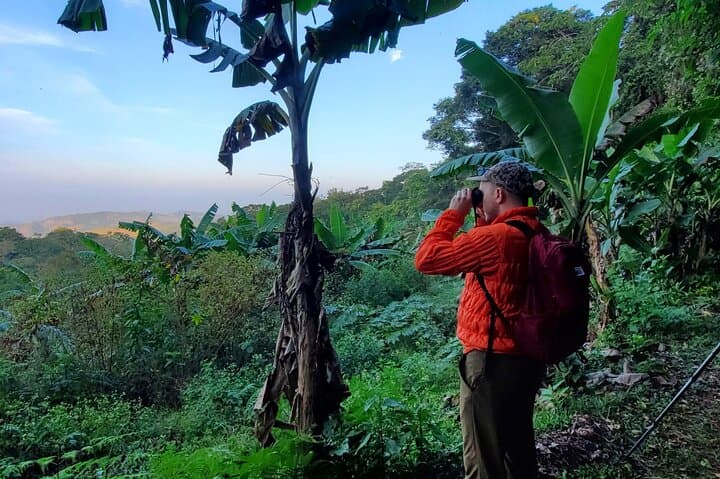 Monteverde Woodpecker Preserve: 4-Hour Guided Birdwatching Tour