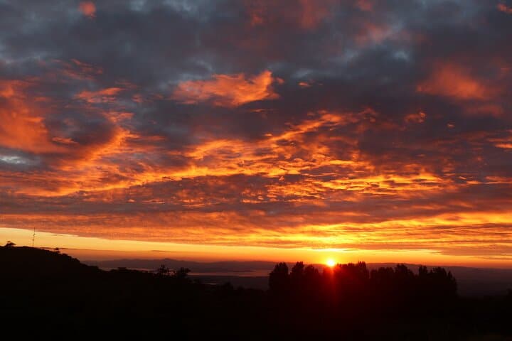 Monteverde Sunset and Night Walk at Woodpecker Conservation Preserve photo 4