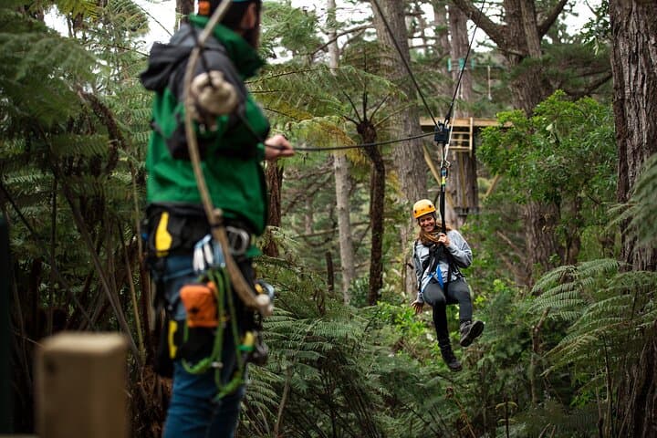Coromandel Zipline: Driving Creek Canopy Tour over Native Forest
