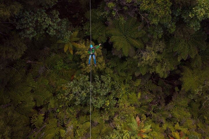 Coromandel Zipline: Driving Creek Canopy Tour over Native Forest photo 4
