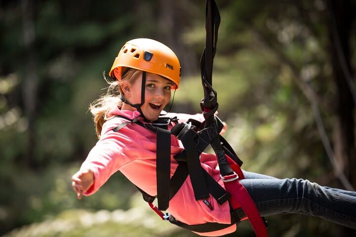Coromandel Zipline: Driving Creek Canopy Tour over Native Forest photo 5