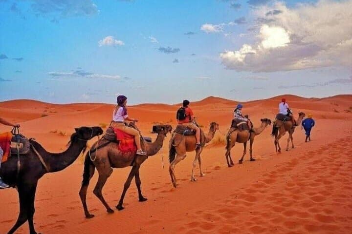 8-Day Southern Morocco Round Trip from Marrakech — Dades, Todra & Merzouga photo 5