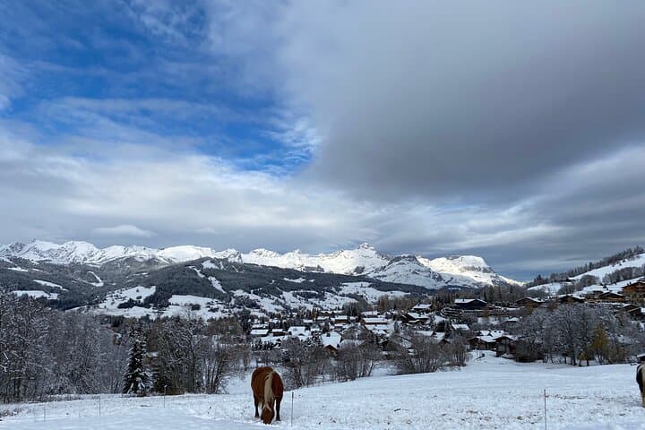 Bespoke Megève Private Concierge — Luxury Skiing, Dog Sledding & Summer Trails photo 4