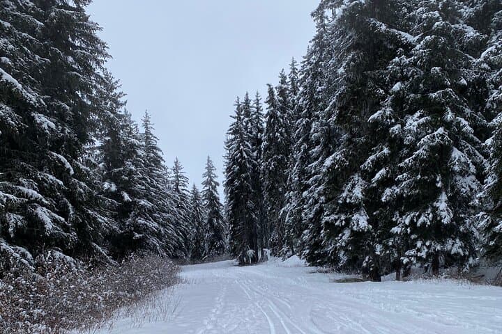 Luxury Private Concierge Courchevel: Bespoke Winter Day Experience photo 3