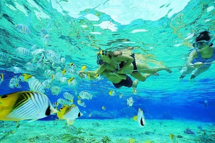 Marsa Mubarak Snorkeling Adventure from Marsa Alam — Full-Day Red Sea Trip photo 3