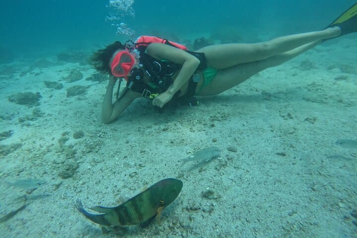 Full-Day Diving & Snorkeling from Abu Dhabi to Fujairah — Coral Reefs and Beach BBQ photo 3