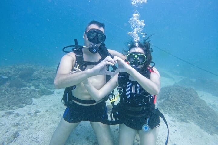 Full-Day Diving & Snorkeling from Abu Dhabi to Fujairah — Coral Reefs and Beach BBQ photo 5