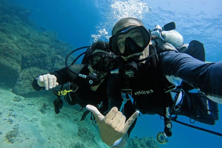 Fujairah Day Trip: Two Certified Boat Dives from Abu Dhabi photo 3
