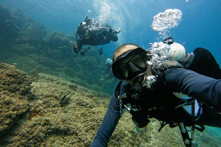 Fujairah Day Trip: Two Certified Boat Dives from Abu Dhabi photo 4