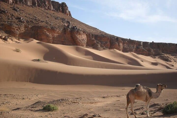Two-Day Desert Escape from Marrakech: Zagora, Ait Benhaddou & Atlas Studios photo 3