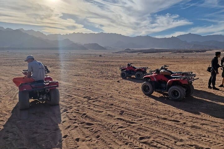 Desert Quad and Camel Ride from Sharm El-Sheikh: 3-Hour Bedouin Experience photo 3