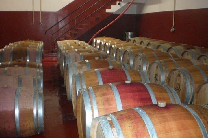 Monchique Premium Gastronomic Mountain Tour — Wine, Olive Oil & Medronho Tasting photo 2