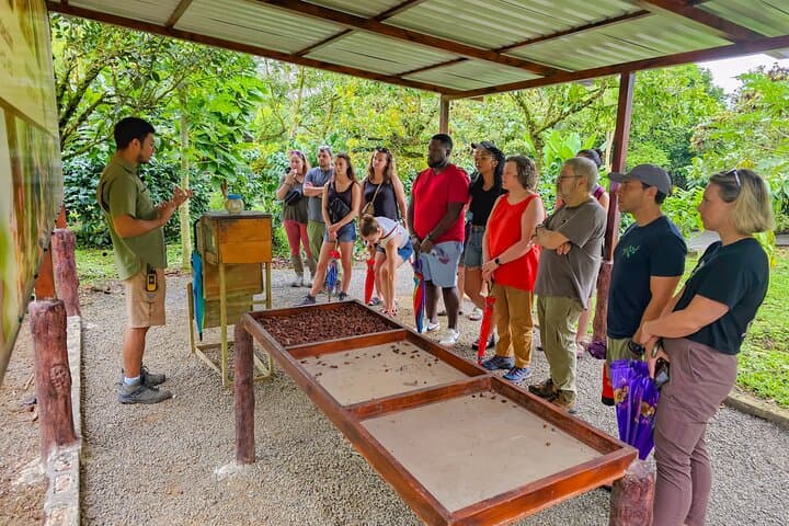 Coffee & Chocolate Tour at North Fields Cafe Near Arenal Volcano photo 5