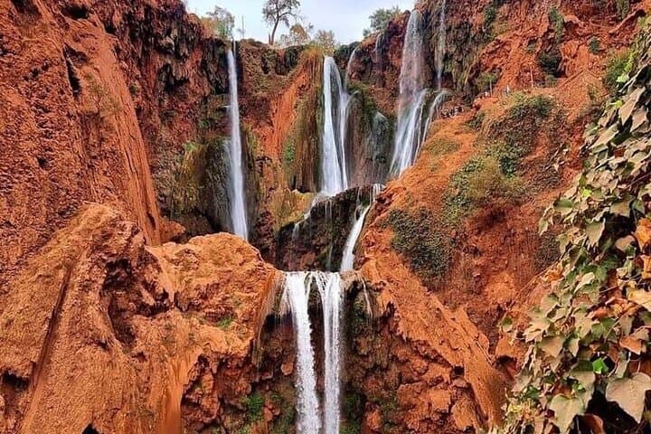 Day Trip to Ouzoud Waterfalls from Marrakech: Hiking, Swimming & Berber Village Visit photo 4
