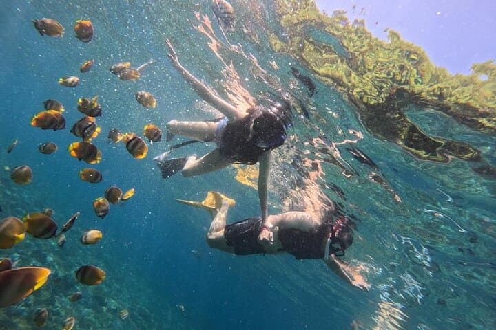Blue Lagoon & Tanjung Jepun Snorkeling — 2-Hour Guided Trip in Padang Bai photo 5