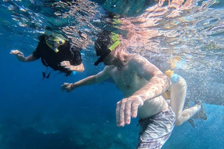 Blue Lagoon & Tanjung Jepun Snorkeling — 2-Hour Guided Trip in Padang Bai photo 4