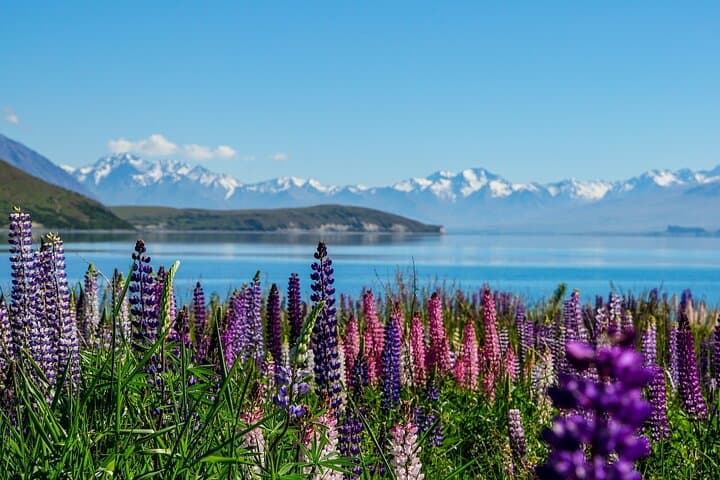 Scenic Mt Cook to Lake Tekapo Small-Group Transfer via Lake Pukaki