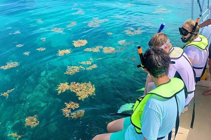 Snorkeling in Tulum: Playa Maya Reef, Kaan Luum Lagoon & Cenote Day Tour photo 2