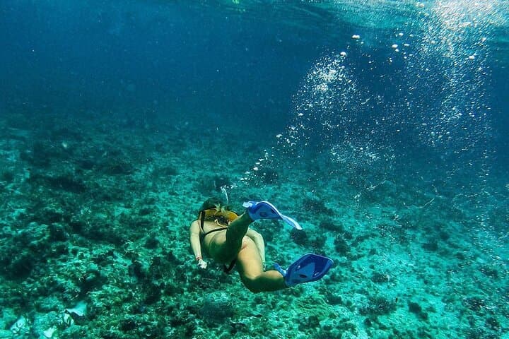 Snorkeling in Tulum: Playa Maya Reef, Kaan Luum Lagoon & Cenote Day Tour photo 4