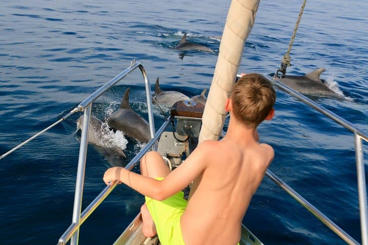 Private Sailing from Estepona: 4-Hour Dolphin-Search & Coastal Cruise