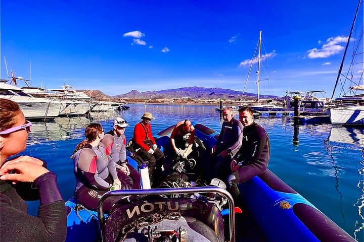 Scuba Diving Tenerife: 2 Guided Boat Dives from Costa Adeje photo 6